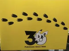 ポケモン30周年記念 おかえり!ピカチュウ1/1 専用BOX タカラトミー限定