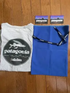patagonia パタゴニア　Tシャツ・ステッカー・布袋　3点セット売り