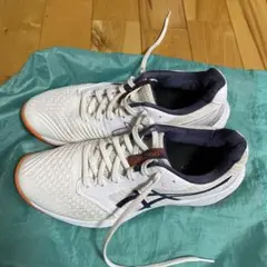 Item thumbnail for item 83cad175-75b3-4f1f-8cc5-e04c12ada58d