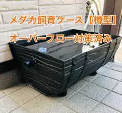 樽型メダカ飼育ケースのサムネイル