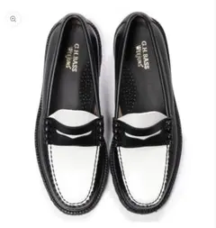 Item thumbnail for item e2fe456d-7e16-4448-9d01-94c98b944efe