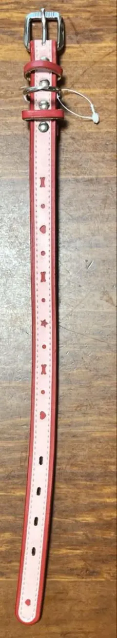 Item thumbnail for item bf4f42a0-bb0e-4935-8d7b-d44f4a81733a