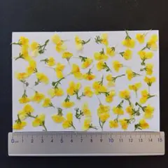 オリーブグリーン様 リクエスト 2点 まとめ商品