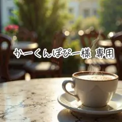 かーくんぽぴー様 リクエスト 3点 まとめ商品