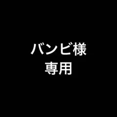 バンビ(値下げ大歓迎！)様　専用