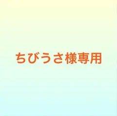 ちびうさ様専用