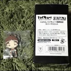 【ハイキュー】東峰JF限定にとたんラバマス