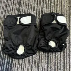 Item thumbnail for item 7a9c9ed2-8556-4a26-b949-c8e34cc26491