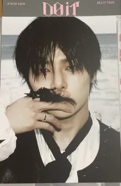 Stray Kids スキズ YangJeongin アイエン DOIT 開封済