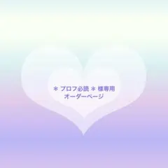 ＊ プロフ必読 ＊ 様 専用 再販オーダーページ