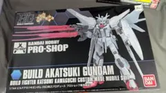 2025年最新】ビルドアカツキガンダムの人気アイテム - メルカリ