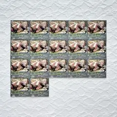 IDOLY PRIDE バースデーステッカー vol.2 fran 17点セット