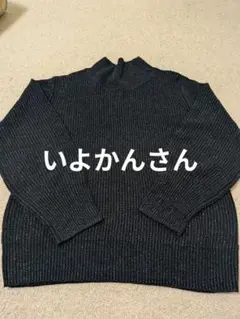 リブ編み ハイネックセーター　LL