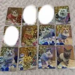 バラ売り可】猫カフェmocha トレカ 秋葉原店 どきどきバレンタイン