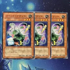 パペットプラント STON ノーマル