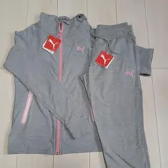 PUMA グレー ジャージセット Lサイズ