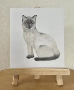 青い目のシャム猫　直筆原画　手描きのパステル画　猫の絵　小さめアート