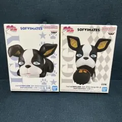 ジョジョの奇妙な冒険　SOFVIMATES イギー　２種セット