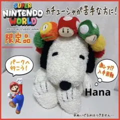 レア⁉︎ USJ限定 スーパーキノコ 1UPキノコ ファイアフラワー 花冠