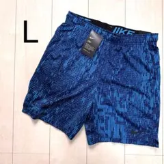 新品　Nike DRI-FIT 青　 パンツ L ランニング　トレーニング