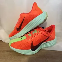 Item thumbnail for item 502e5af3-45ea-4a9b-8898-10f725122c08