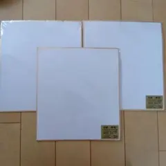 難あり　色紙 無地 2枚入 計6枚 D-045 美術厚紙 寄せ書きのサムネイル