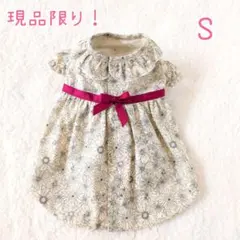 現品のみ！ハンドメイド♡犬服♡着せやすいバックオープン 背中開き ワンピース Ｓ