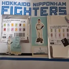 野村佑希　ファイターズ　アクリルバッジ　ミニアクリルスタンドのサムネイル