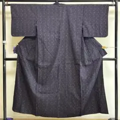 ■E4742■美品■正絹■黒　亀甲に絣柄　十日町紬　単衣　着物■丈152　裄63