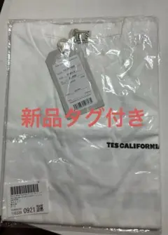 【新品タグ付】 TES Tシャツ 半袖 M ドライブ フレンチブルドッグ 白