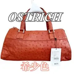 希少色 未使用タグ付き✨️オーストリッチ ハンドバッグ レザー 高級素材 自立