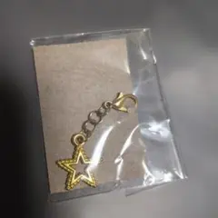 ゴールド 星型 チャーム
