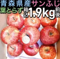 41.青森県産葉とらずサンふじ　小玉　りんご　箱込み1.9kg前後