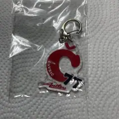 鹿島アントラーズ　77チャヴリッチ選手　キーホルダー　ブラインド商品