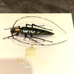 Item thumbnail for item 85f7c048-d5ea-4d08-bde1-9195281d167d