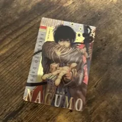 Item thumbnail for item 08f1eb68-6e48-48ea-997a-da7a1719ae44