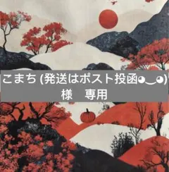 こまち (発送はポスト投函◕⁠‿⁠◕⁠)様　専用