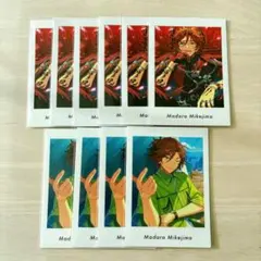 三毛縞斑 ぱしゃっつ vol.6