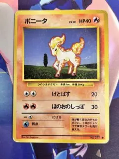 PSA8旧裏　初版　ポケモンカード ポニータ 旧裏】【○】【PSA8】ポニータ