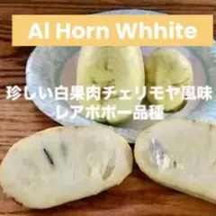 2026年最新】ポポー種の人気アイテム - メルカリ