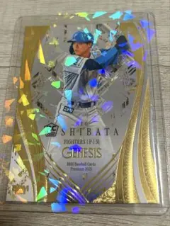 BBM 2025 genesis 北海道日本ハムファイターズ 柴田獅子
