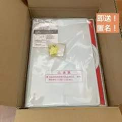 2001 ポケモン ピカチュウ タオルハンガークロック 未開封未使用