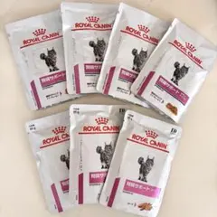 Item thumbnail for item 6e005462-f611-4c60-b88f-68f376366e29