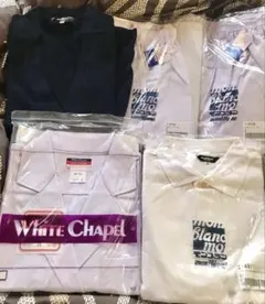 Item thumbnail for item 3c21dca7-4bab-4152-8888-f6dbaaab4e82