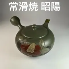 常滑焼 伊藤 昭陽 急須 陶器 梨皮山水 共箱付き - メルカリ