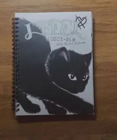 (G)I-DLE I FEEL CAT VER ALBUM