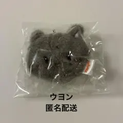 ATEEZ aniteez ウヨン　ウヨニャン　セット売り 2026年最新】aniteez ウヨニャンの人気アイテム - メルカリ