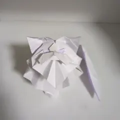 ペルシャ猫　(persian cat)