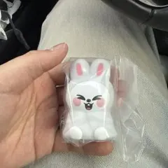 skzoo ライトマスコット ガチャ リービット