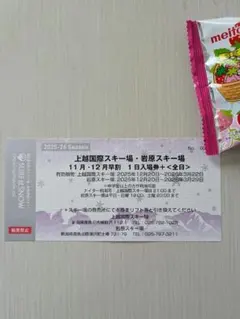 2026年最新】岩原 上国 リフト券の人気アイテム - メルカリ